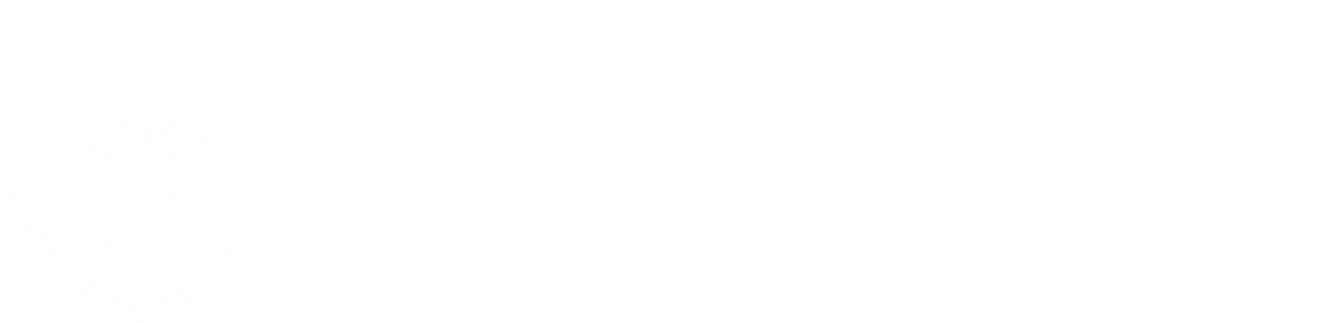 Logo Flash