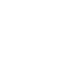 Tiktok icon